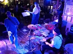 Beavers in Miltenberg 2016