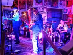 Beavers in Miltenberg 2016