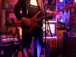 Beavers in Miltenberg 2016