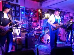 Beavers in Miltenberg 2016