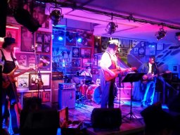 Beavers in Miltenberg 2016
