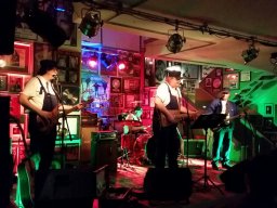 Beavers in Miltenberg 2016